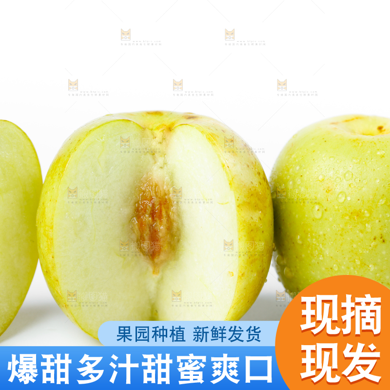 白底上的冬枣
