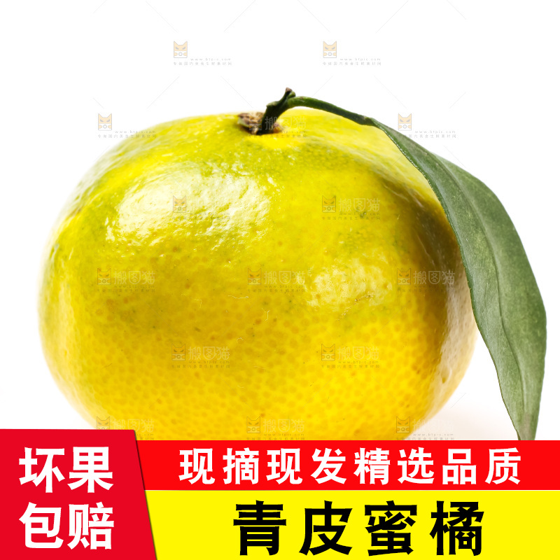 白底上的青皮蜜橘