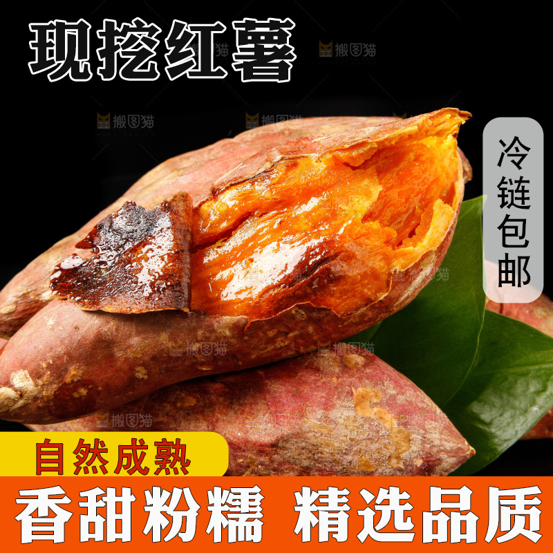 黑底上的烟薯25号