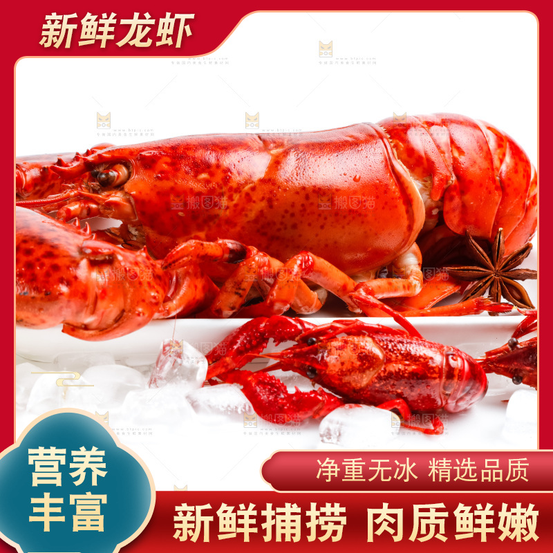 浅底上放着波士顿大龙虾