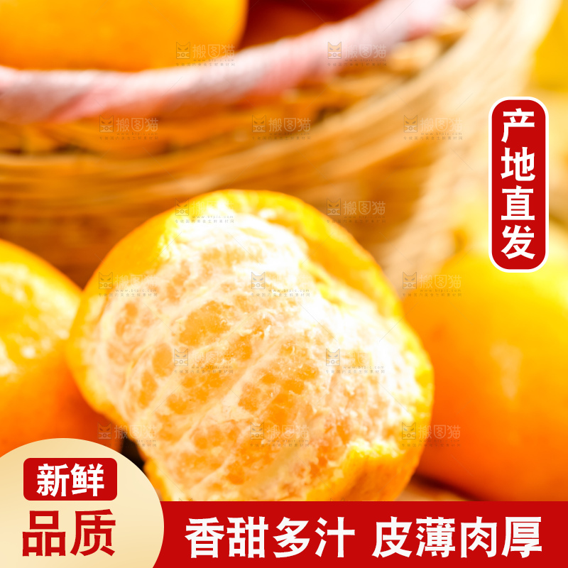黄底上的椪柑橘