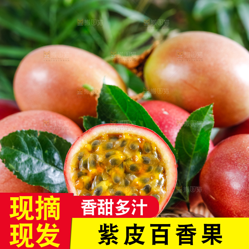 广西百香果放在浅底上