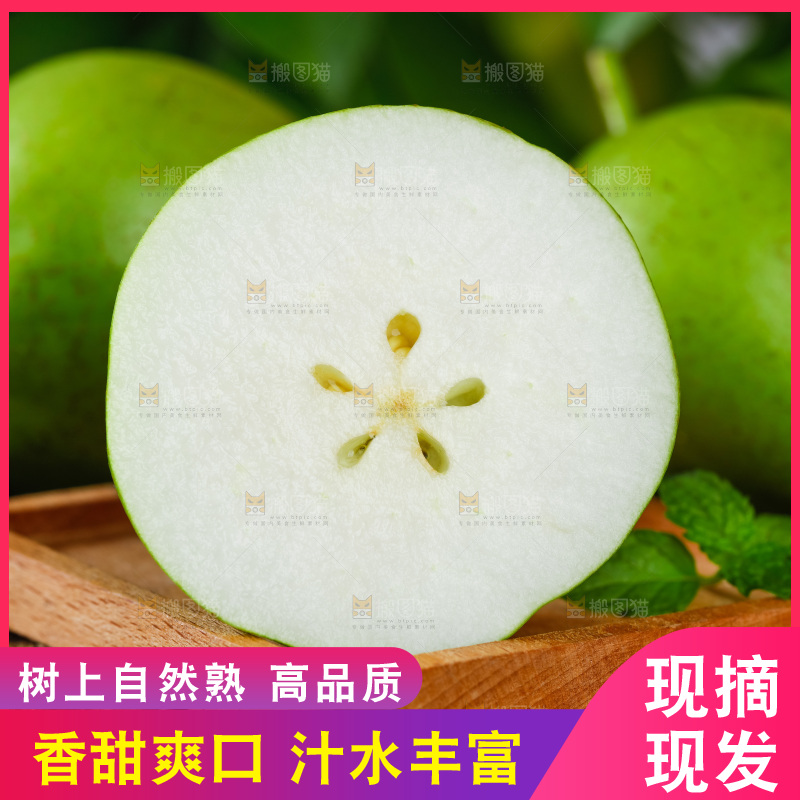 木底上放着陕西早酥梨