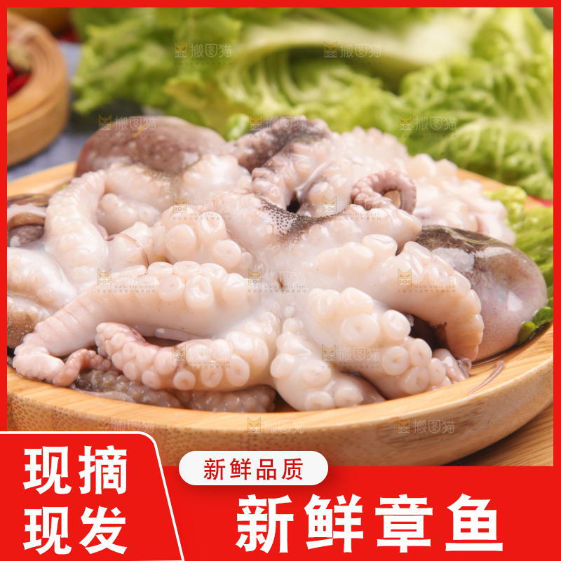 盘子里的八爪鱼