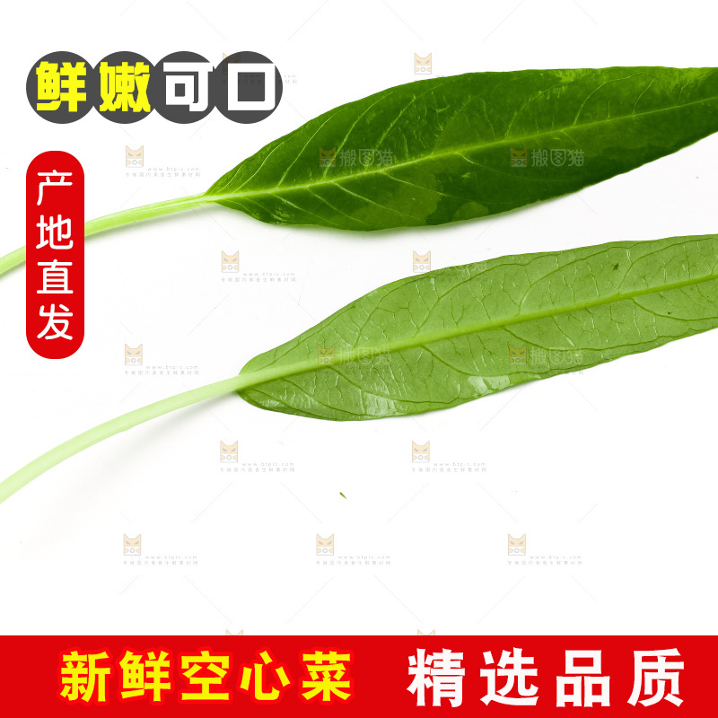 白底上放着新鲜空心菜