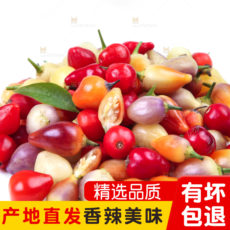 白底上的七彩椒