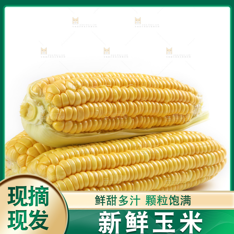 白底上放着黄玉米