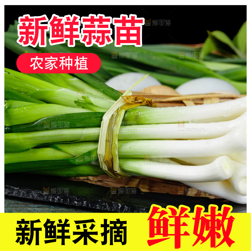 深底上的蒜苗