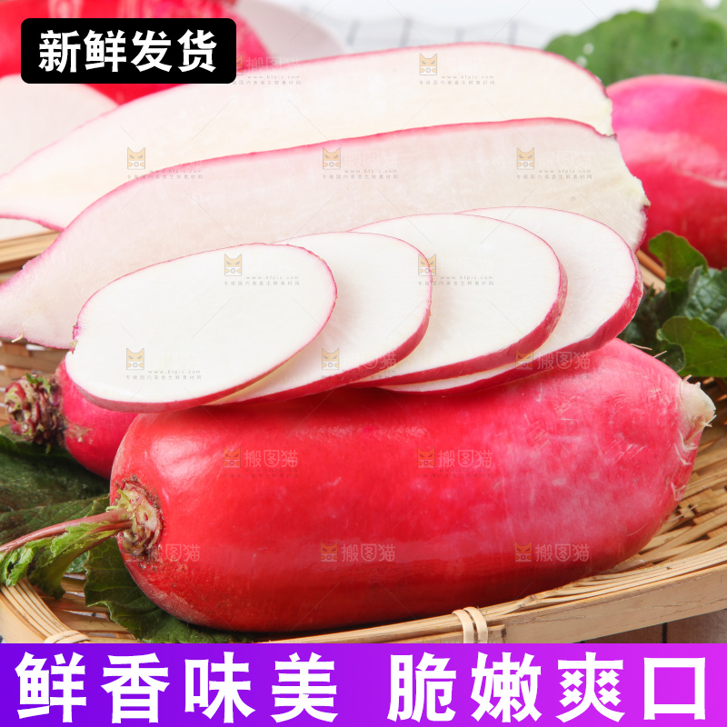 白格子底上的湖北红皮萝卜