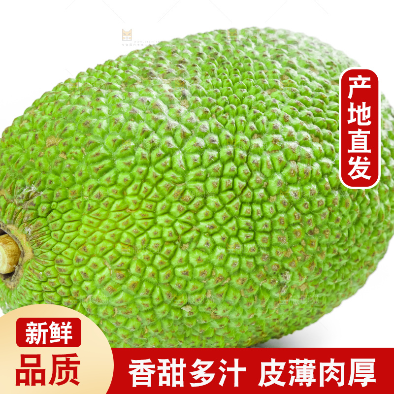 白底上放着海南红肉菠萝蜜
