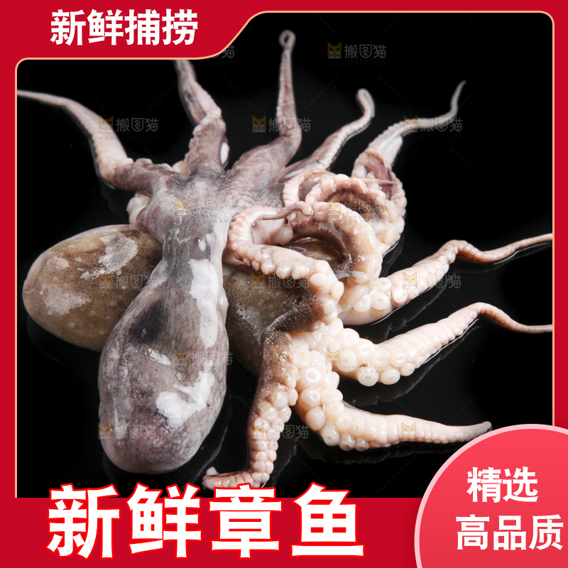 黑底上的八爪鱼