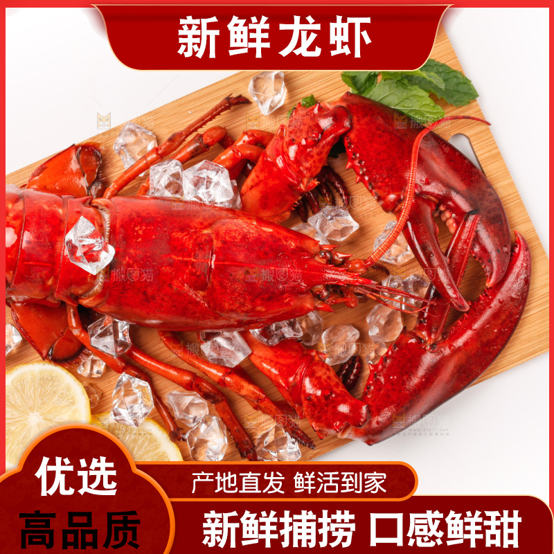 白底上的大龙虾