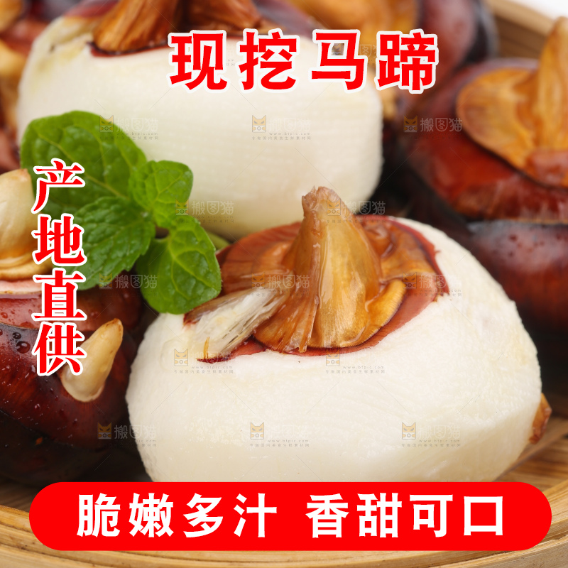 篮子里装着北乡马蹄