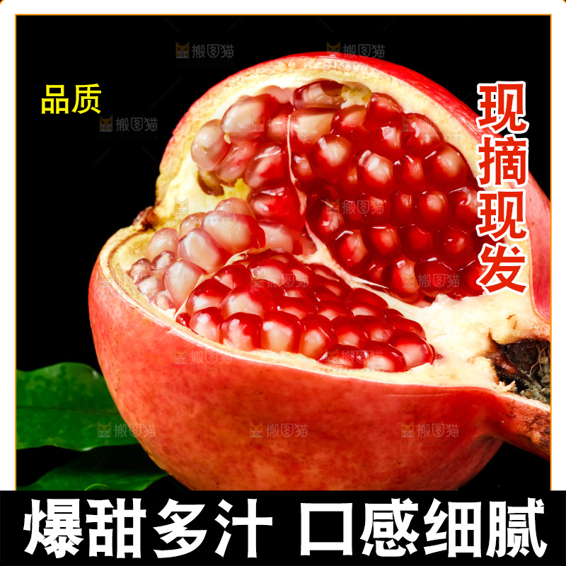 黑底上放着突尼斯软籽石榴