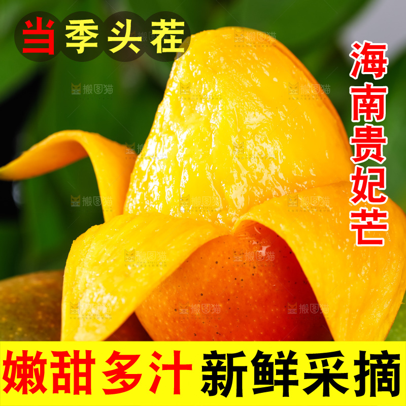 木底上的彩芒