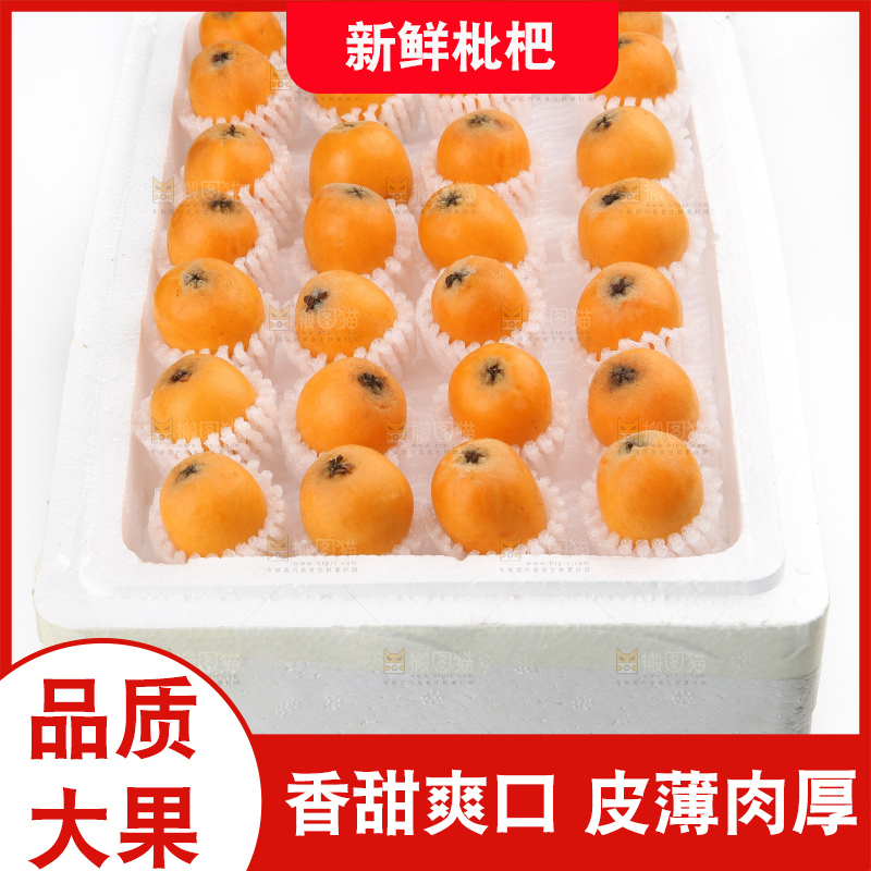 泡沫箱里装着米易枇杷