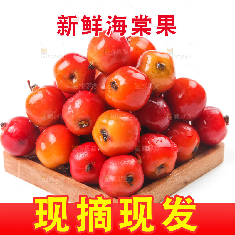 白底上的东北海棠果