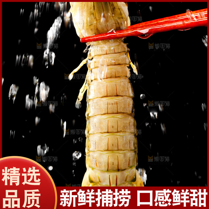 筷子上夹着虾姑
