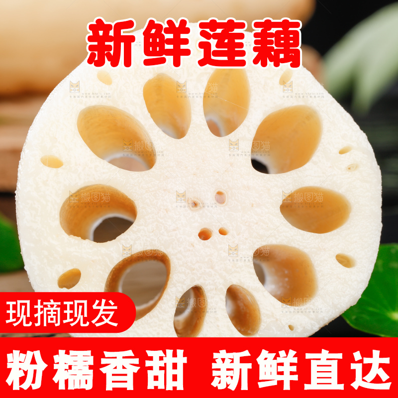 黑底上的莲藕