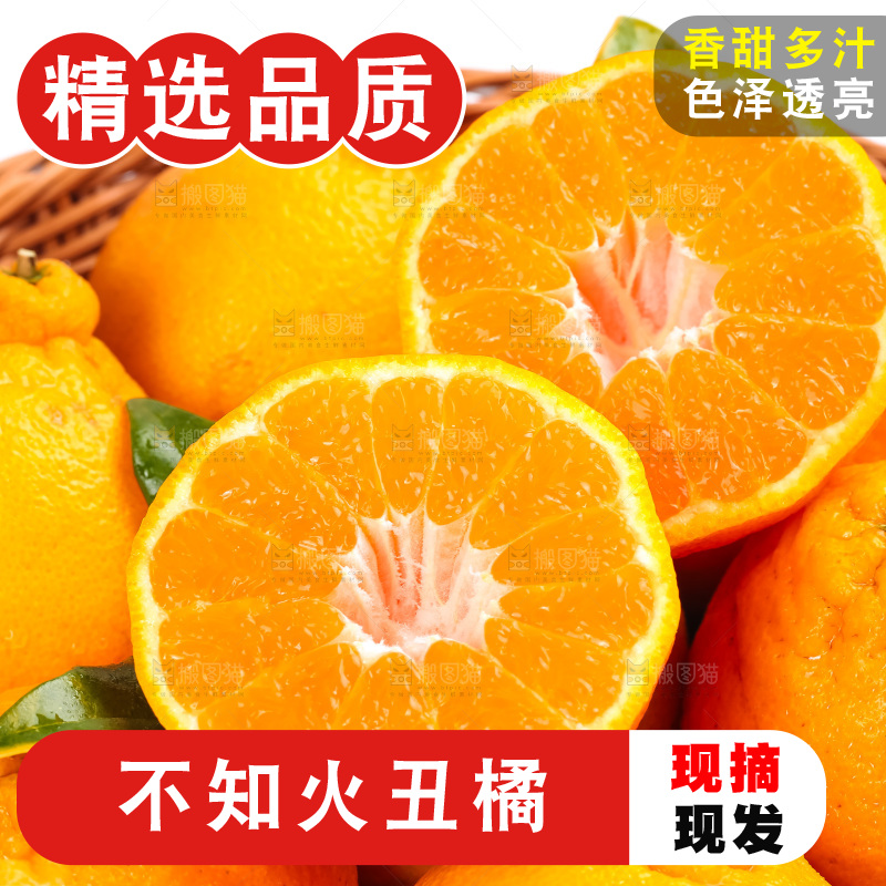 篮子里装着四川丑柑