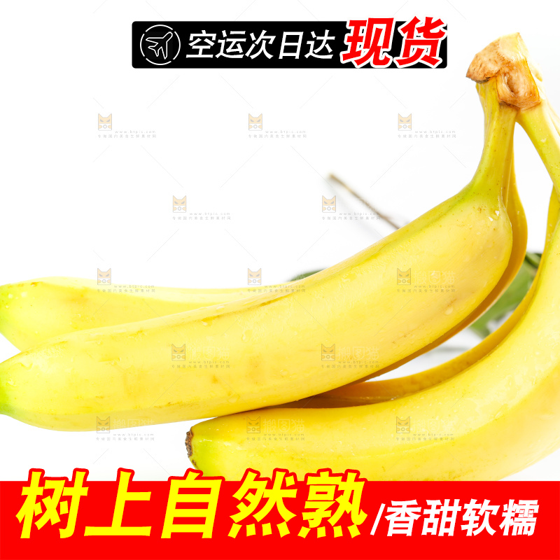白底上摆放着高山甜香蕉