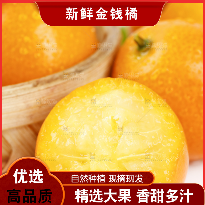 白底上的金钱橘