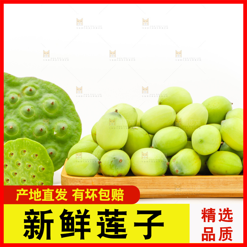 浅底上的新鲜莲子