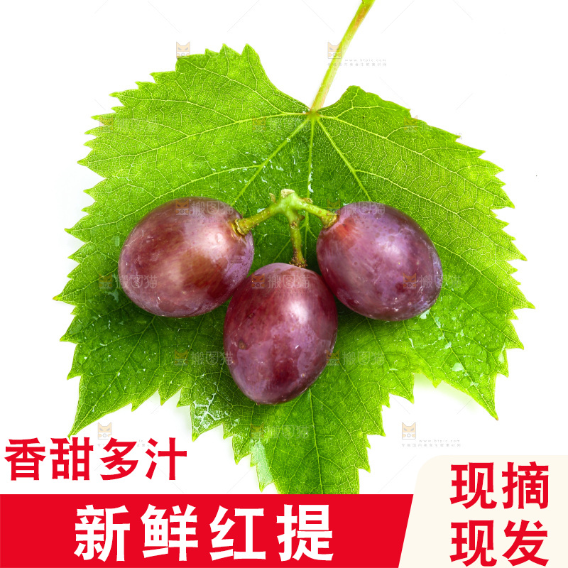 白底上放着新疆红提