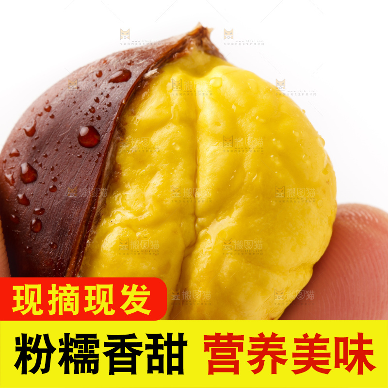 白底上的新鲜板栗