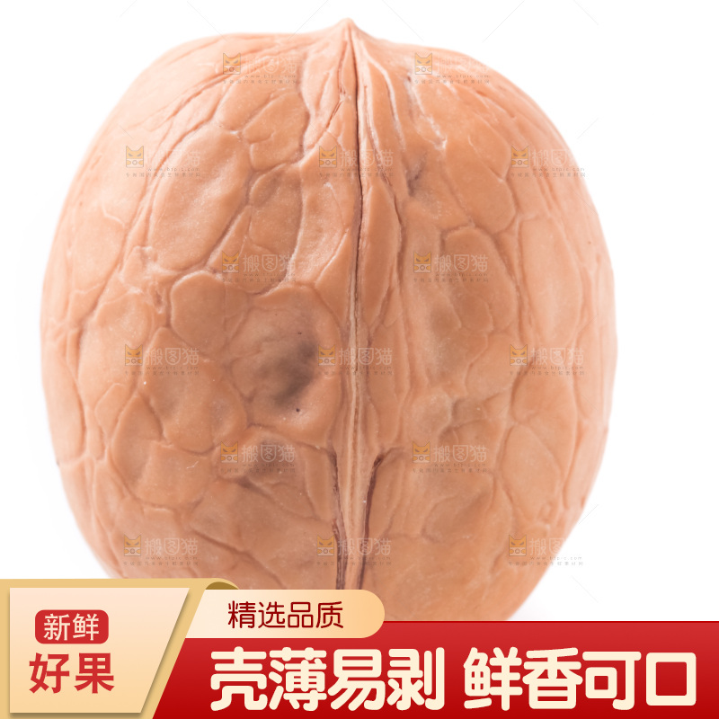 白底上的新疆核桃