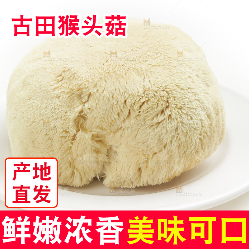 盘子里装着新鲜猴头菇