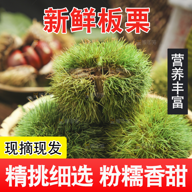 篮子里的迁西板栗
