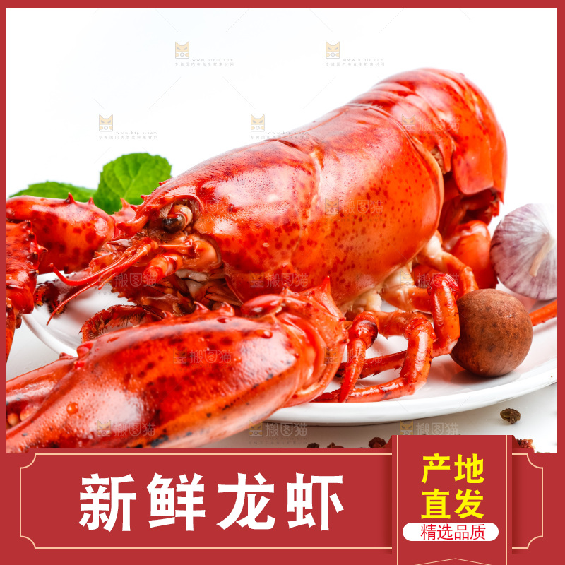 浅底上放着波士顿大龙虾