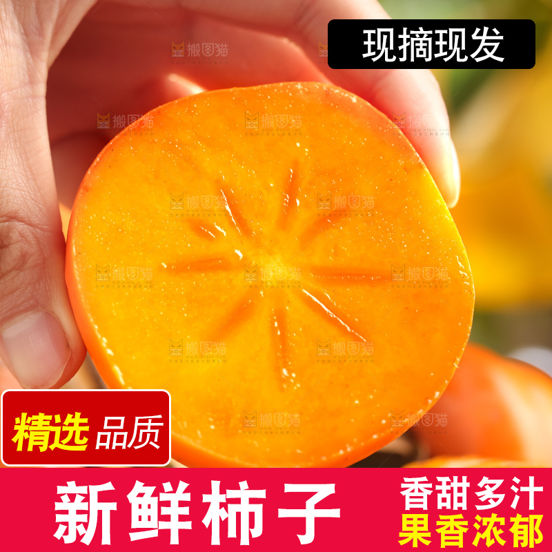 手里拿着新鲜柿子