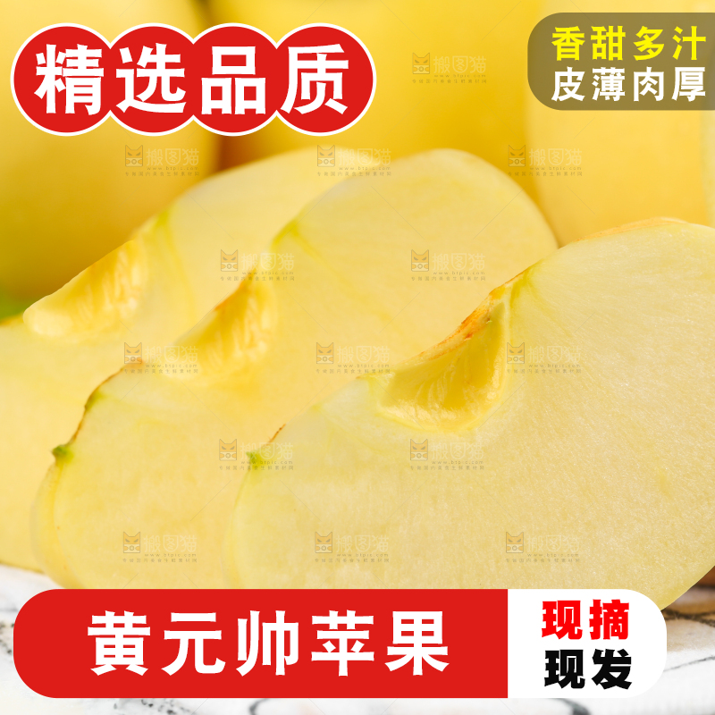 白格子底上的黄金帅