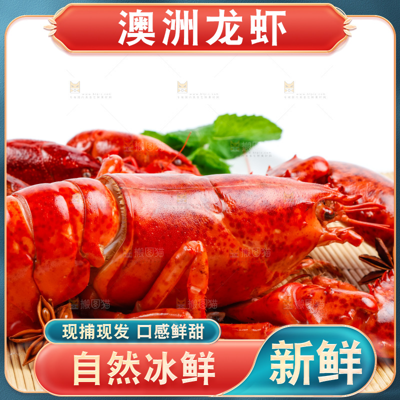 木底上放着波士顿大龙虾
