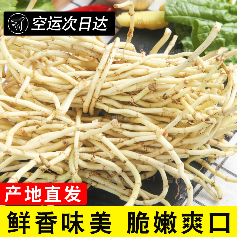 石板上放着折耳根