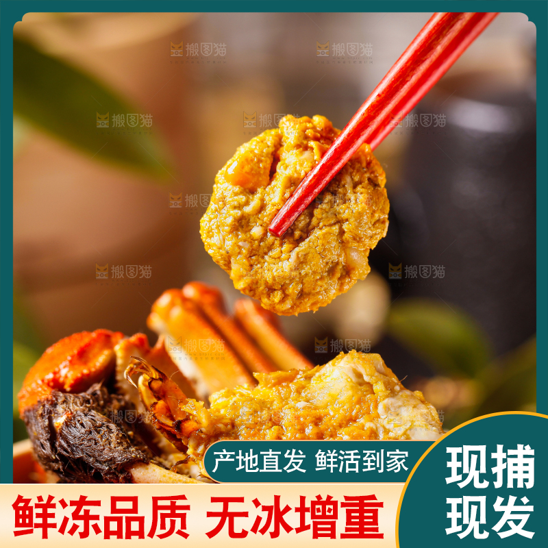 筷子上夹着清蒸螃蟹