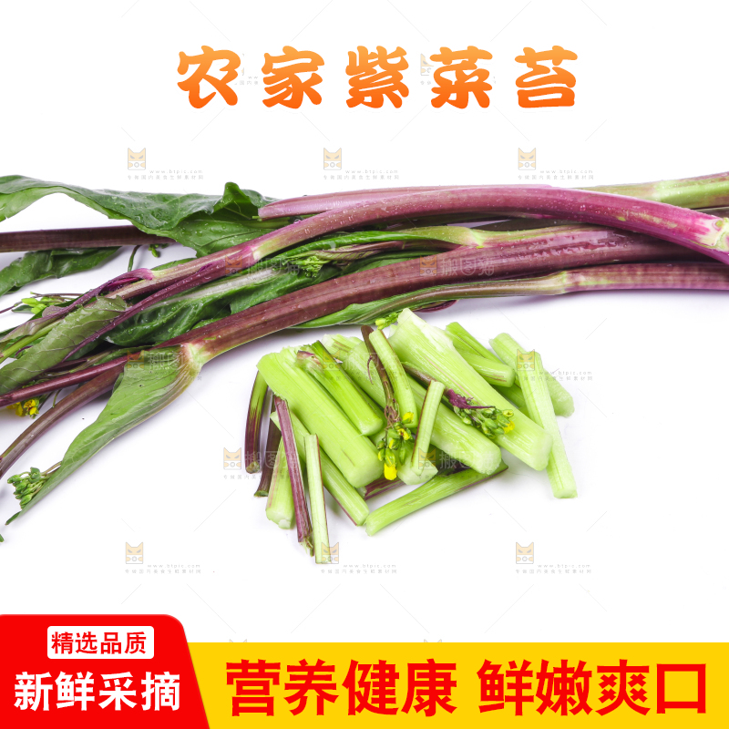 白底上放着紫菜苔