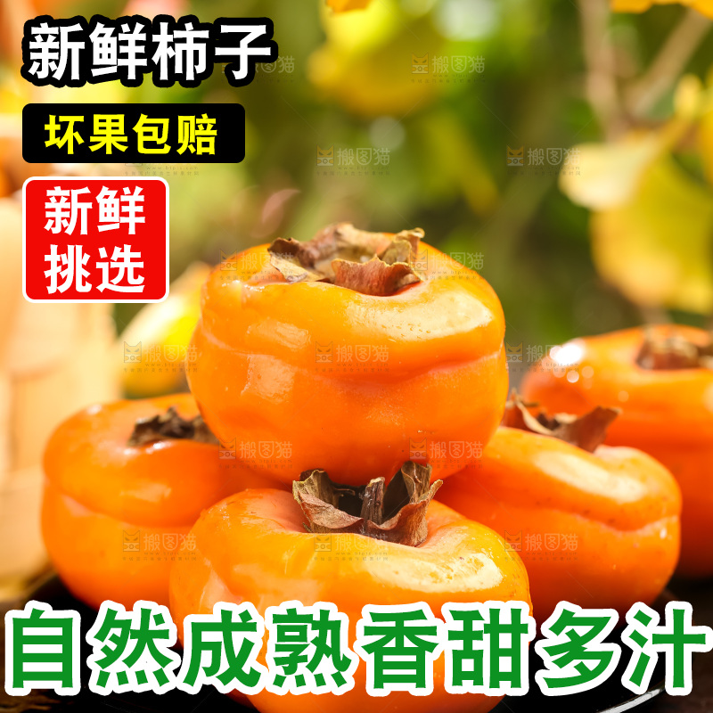 黑石板上放着易县磨盘柿