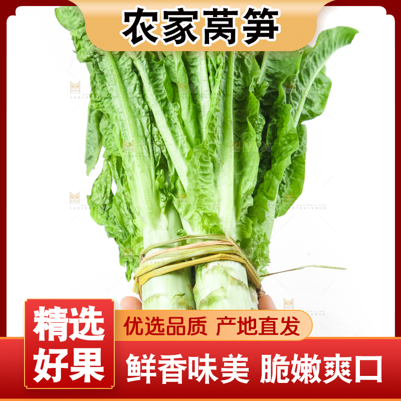 白底上的莴笋