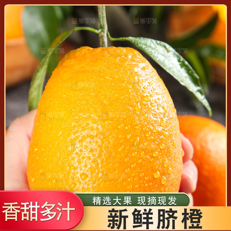 手里拿着新鲜橙子