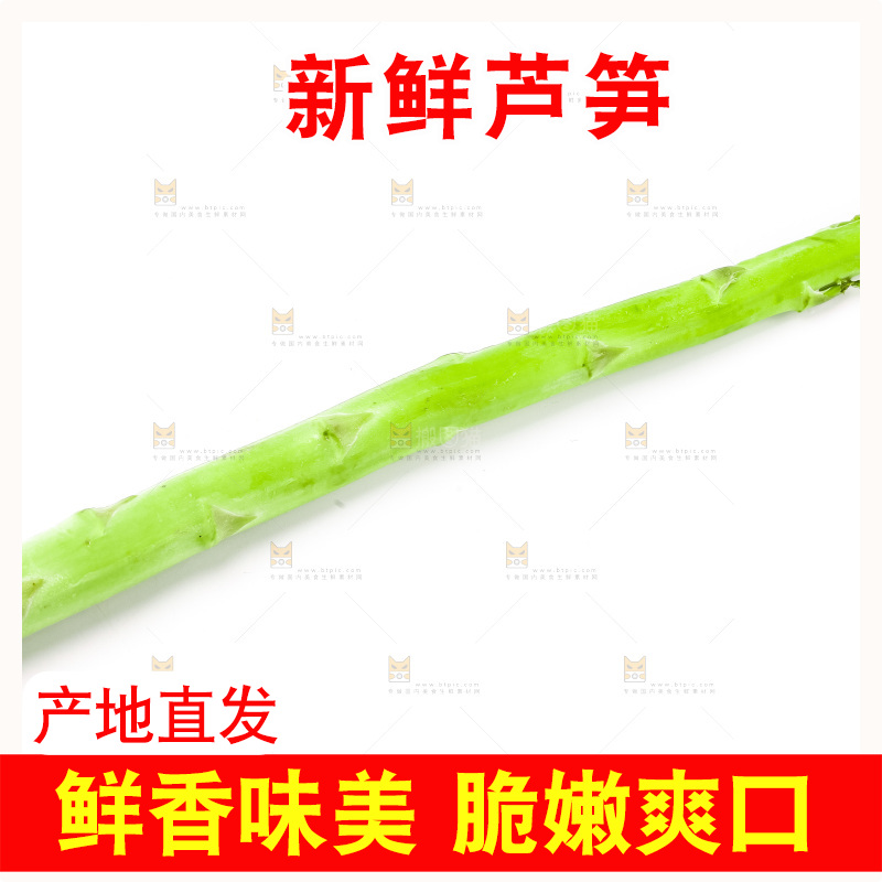 白底上的芦笋