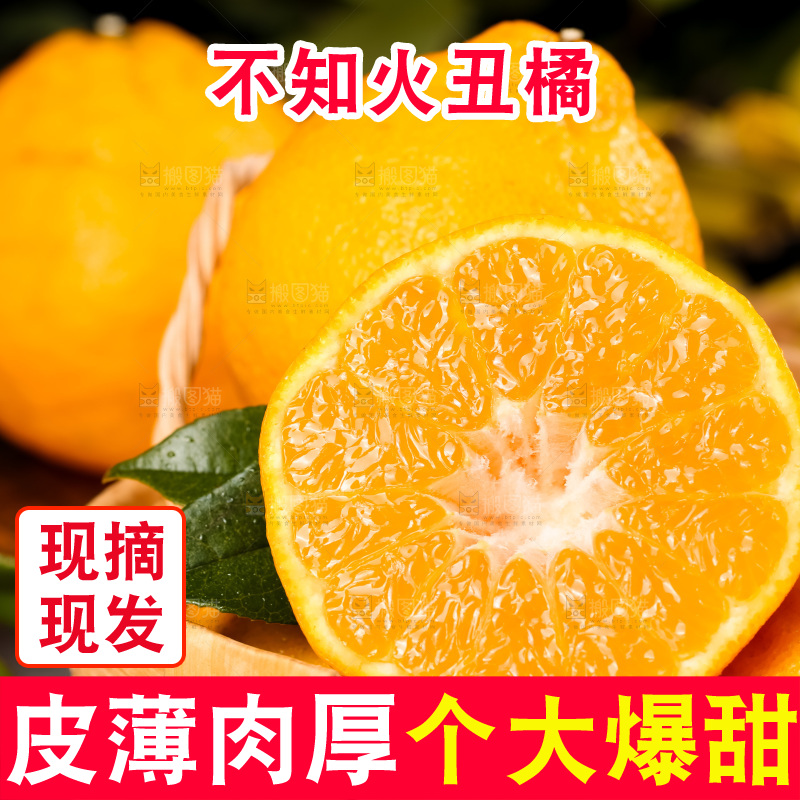 篮子里装着四川丑柑