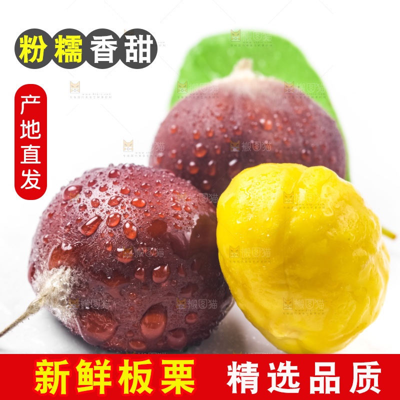 白底上放着迁西板栗