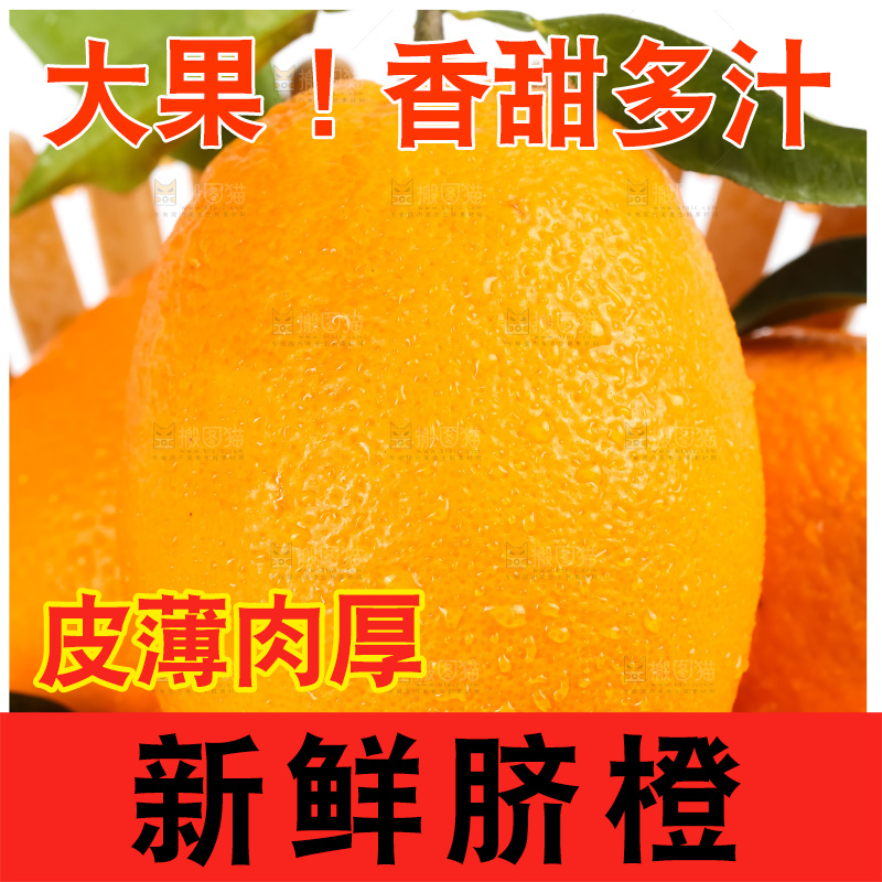 篮子里装着奉节脐橙