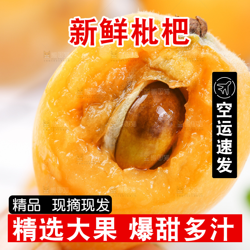 手里拿着新鲜枇杷