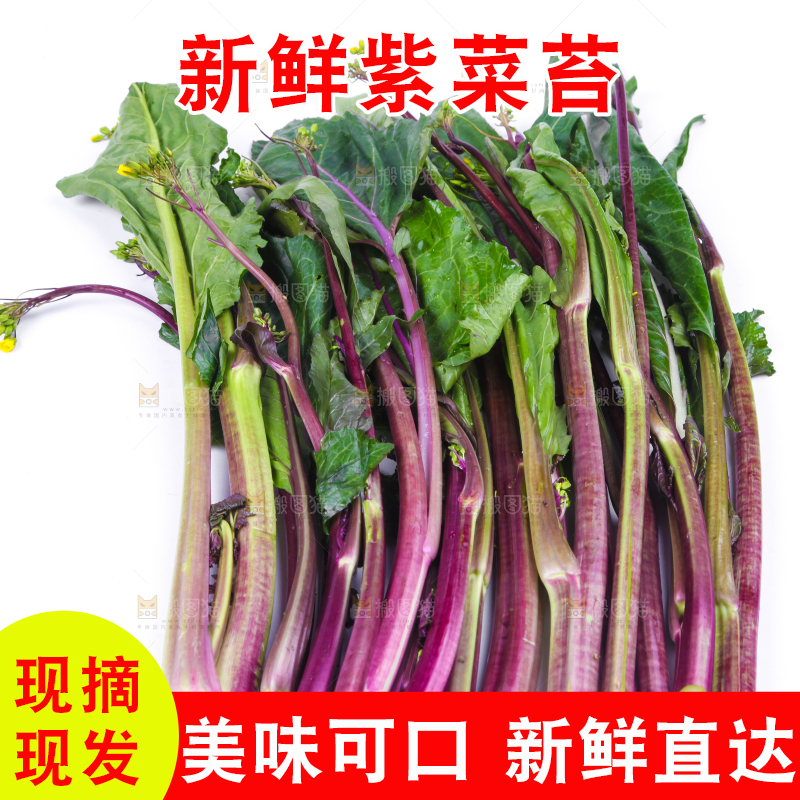 白底上放着紫菜苔
