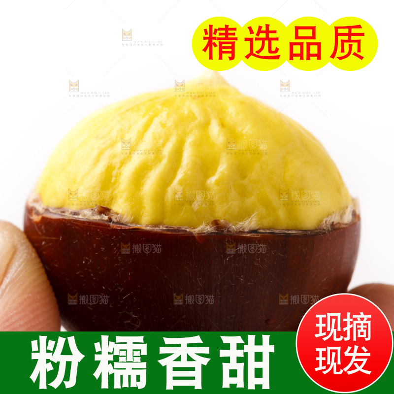 白底上的新鲜板栗