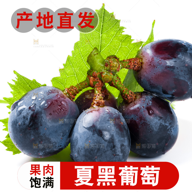 夏黑葡萄放在白底上